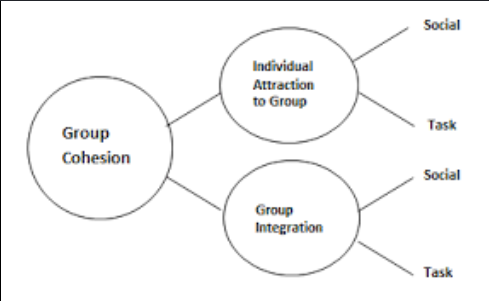 <p><span>4 main antecedents, or factors, that affect the development of cohesion in sport: </span></p><p><strong>environmental, personal, leadership and team factors</strong><span>.</span></p>
