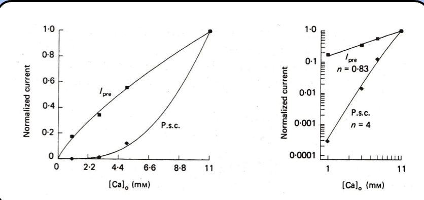 <p><span style="font-family: "Helvetica Light";">the slope of the log-log plot between current and [Ca<sup>2+</sup>] is near 1 or slightly sub linear for the calcium current, and about 4 for the PSC—this is consistent with the notion that the presynaptic calcium current is not the source of cooperativity for neurotransmitter release.</span></p>