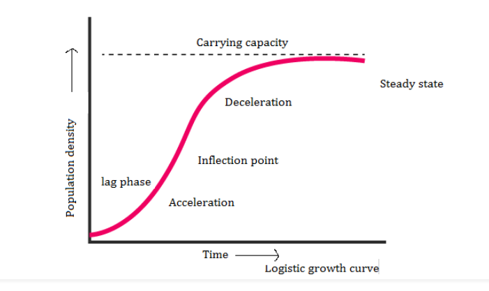 <p>The logistic population growth curve is usually observed in yeast cells cultivated in laboratory conditions and includes five phases, namely:</p><p>The lag phase – The population of a yeast cell is small initially as resources are limited in the habitat.</p><p>Exponential phase – In this stage, the population of the yeast cell suddenly rises as a result of rapid growth leading to exponential population growth due to the availability of enough food resources and consistently favourable environmental conditions without any interspecific competition. This results in the curve rising upwards steeply.</p><p>Positive acceleration phase – At the start of this phase, cell growth is limited. The yeast cell adjusts to the new environment and grows its population.</p><p>Negative acceleration phase – The environmental resistance increases, and the growth rate of the population decline as a result of increased competition between the yeast cells for shelter and food.</p><p>Stationary phase – The population is stable in this phase. The count of cells generated in a population is equivalent to the number of cells that die out. Additionally, the species’ population is said to have touched nature’s carrying capacity in its habitat. The S-shaped growth curve is also referred to as the Verhulst-pearl logistic curve</p>