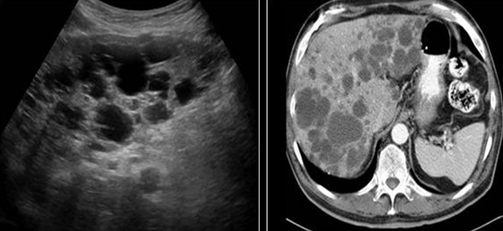 <p>Identify this image. </p>