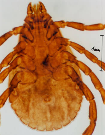 <p>Identify </p>