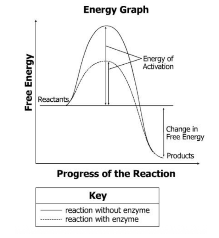 <p>What can be concluded from this graph</p>