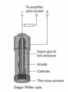 <p>The G-M tube is based on the principle that radiation ionises a gas contained in a tube and the number of ionisations can be counted as current flows (via ions in the gas) from (central wire) anode to (surrounding) cathode.</p>