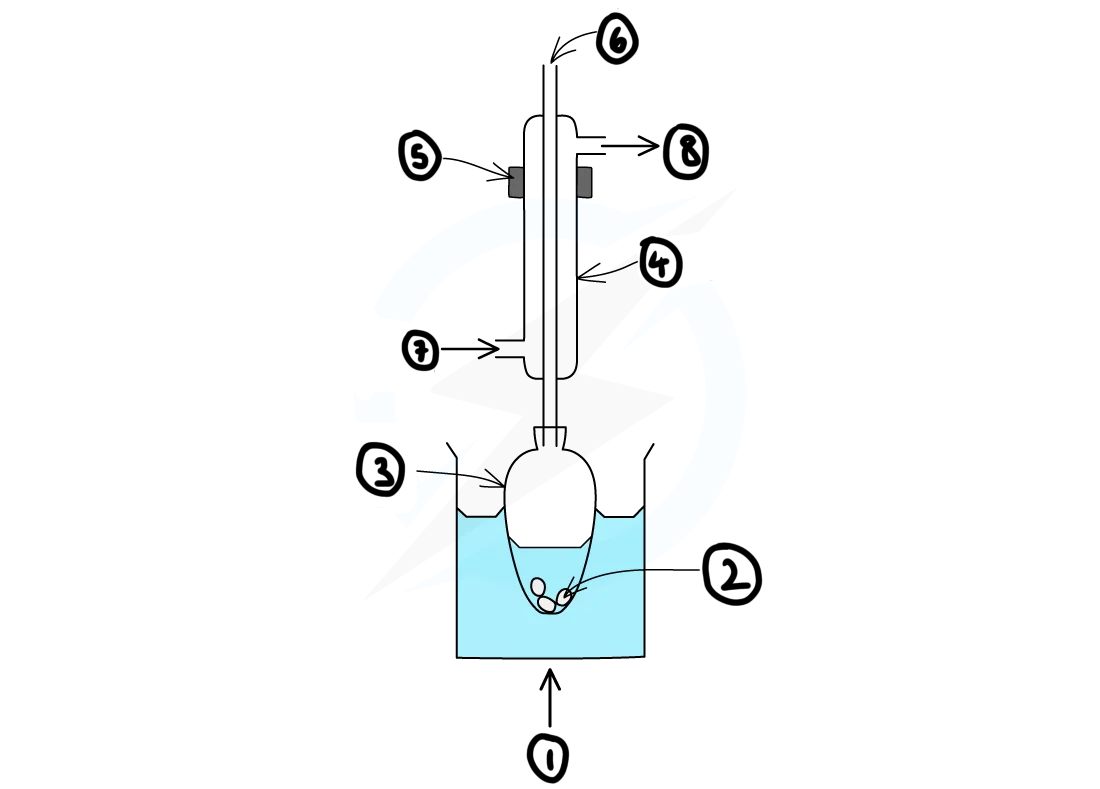 knowt flashcard image