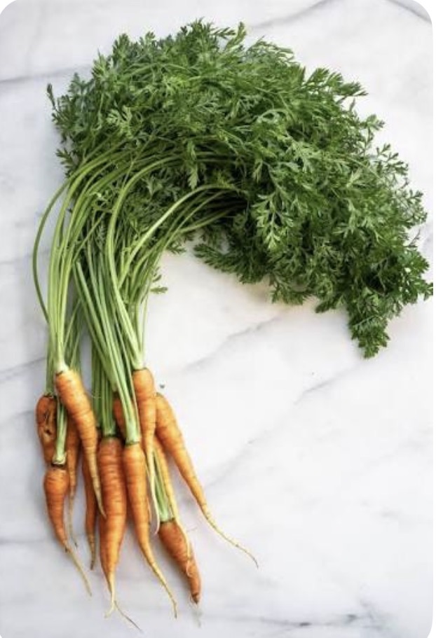 <p>Carrot bun leaf</p>