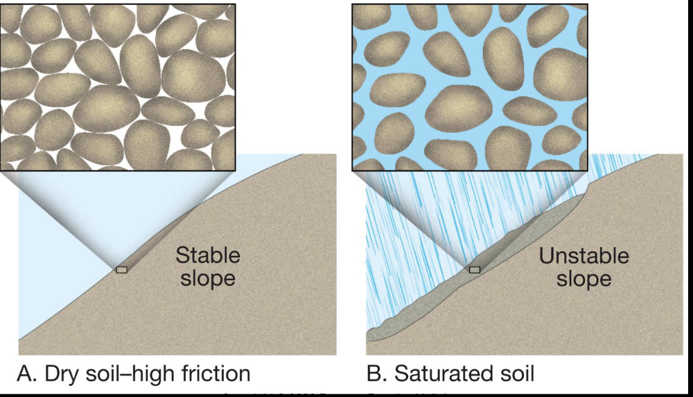 <p>Saturated slopes reduce cohesion and add weight, making slopes more unstable</p><ul><li><p>water adds weight</p></li><li><p>reduces friction b2wn surfaces</p></li><li><p>infiltrates soil/sediment and increases pore pressures to promote movement </p></li></ul><p>MORE WATER = HIGHER LOAD = HIGHER STRESS</p><p></p>
