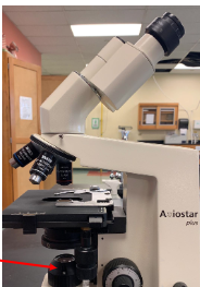 <p>Name this part of the microscope and function</p>