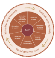 <p><span>·</span><span style="font-family: "Times New Roman"; line-height: normal; font-size: 7pt;"> </span><span>Social and Emotional Wellbeing (SEWB) Framework explores 7 dimensions. Separated in framework, however, are all interconnected and at times hard to separate. Complex concept of wellbeing that extends beyond conventional understandings </span></p><p class="MsoListParagraphCxSpMiddle"><span>·</span><span style="font-family: "Times New Roman"; line-height: normal; font-size: 7pt;"> </span><span>At the centre is the individual, who is surrounded by a network of relationships between individuals, family, kin and community. It also recognises the importance of connection to land, culture, spirituality and ancestry, and how these affect the individual.</span></p><p class="MsoListParagraphCxSpLast"><span>·</span><span style="font-family: "Times New Roman"; line-height: normal; font-size: 7pt;"> </span><span>The framework also acknowledges that Aboriginal and Torres Strait Islander peoples are impacted by <strong>Social, Historical & Political Determinants </strong>of wellbeing. </span></p>