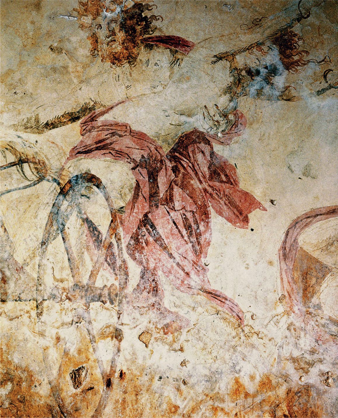 term image