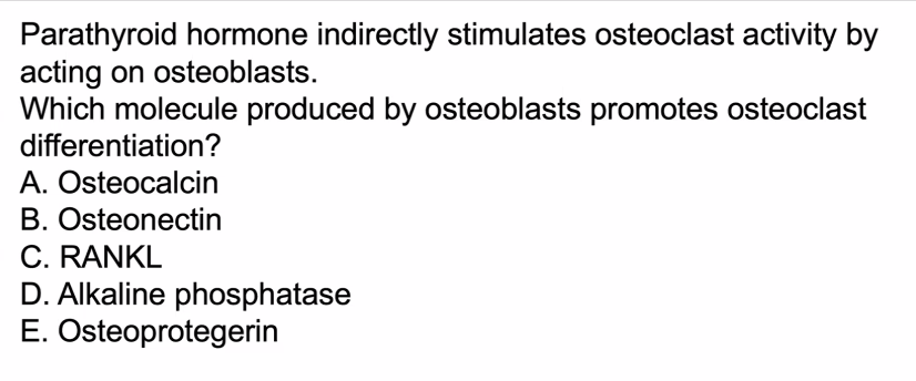 <p>C)</p><p>Receptor Activator of Nuclear factor Kappa B Ligand</p><p>RANKL is from osteo*blasts* → osteo*clasts*</p><p>RANKL binds to RANK receptors on the surface of osteo-clast precursors, triggering them to mature, multiply, and break down bone tissue (resorption)<span>.</span></p>