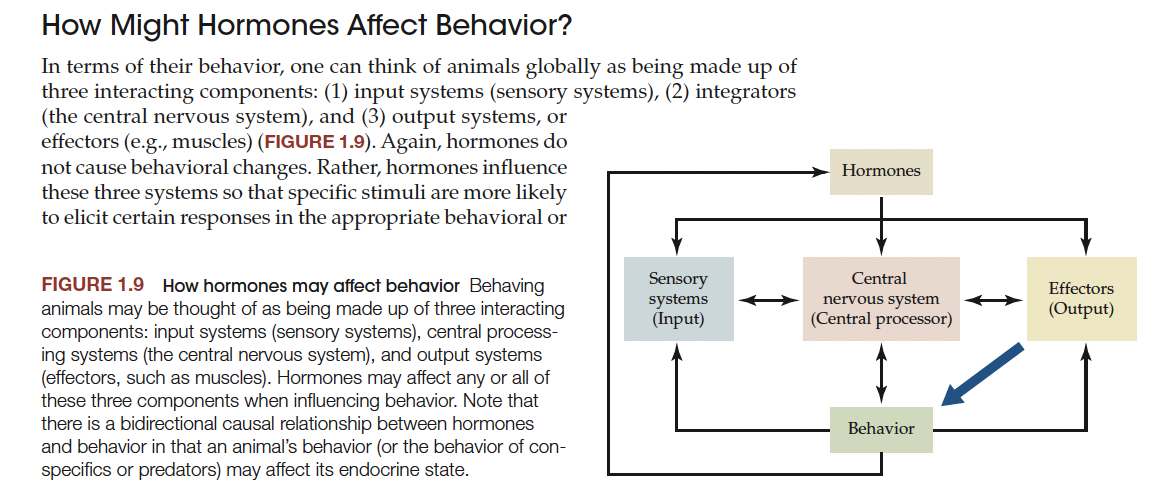 <p><span>Behaviour affecting hormones</span></p>