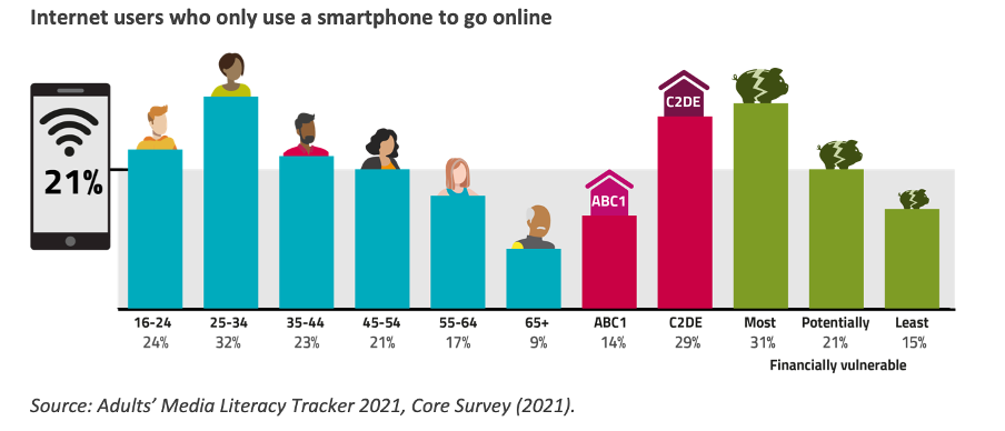<p><strong>The digital divide:</strong></p>