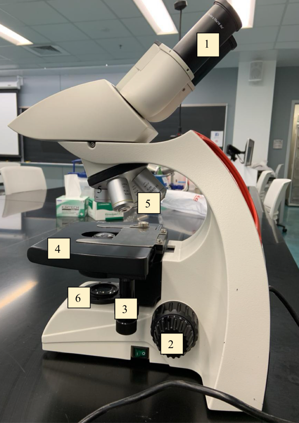 <p>What is label 3 on the microscope? </p>
