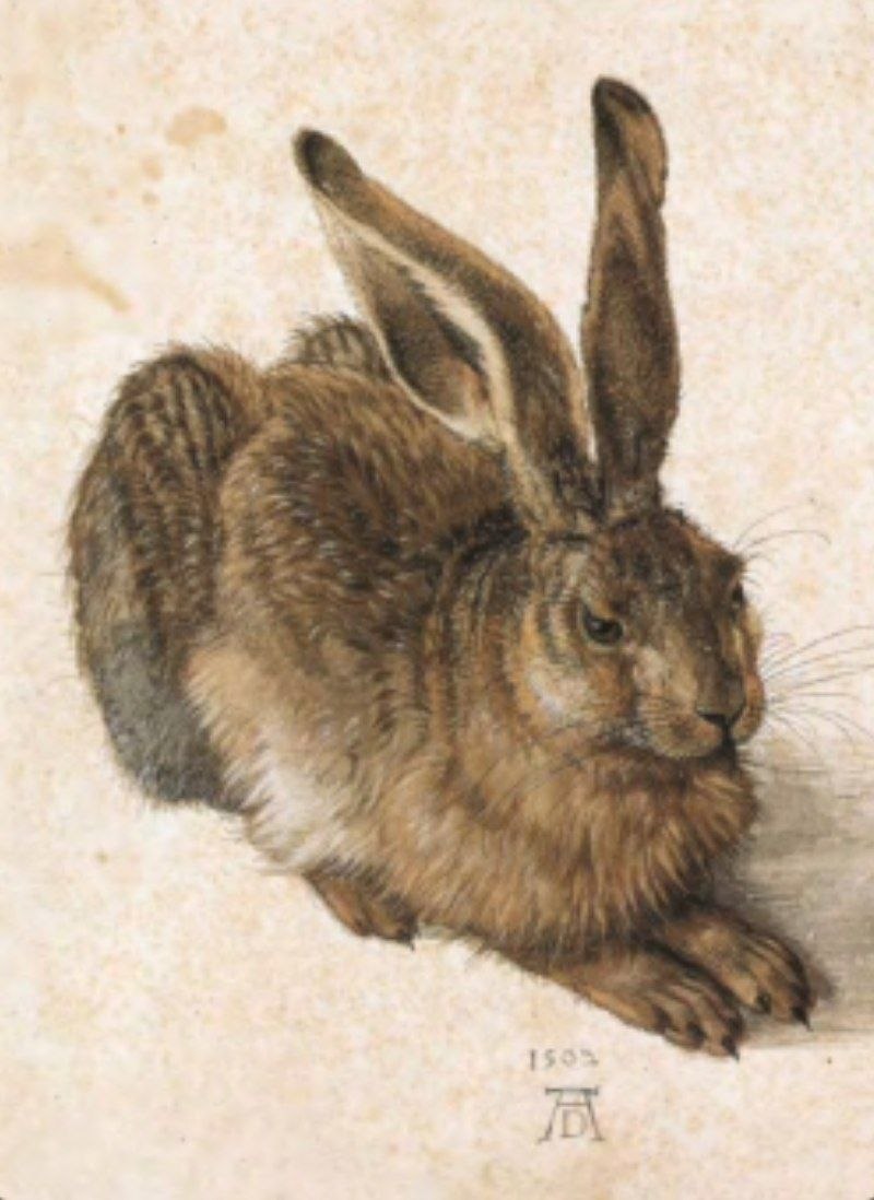 term image