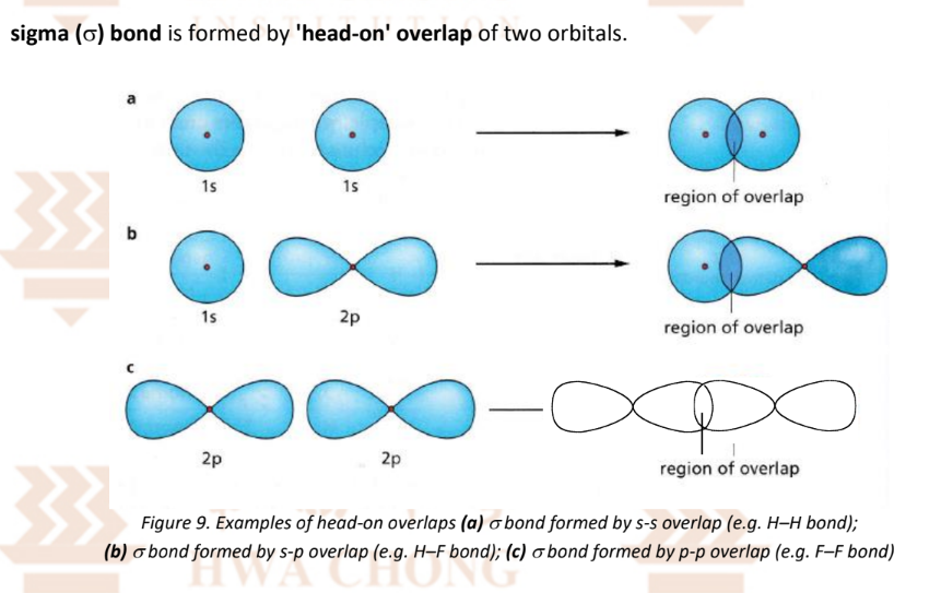 <ul><li><p><strong>s orbitals</strong> can only overlap <strong>head-on</strong></p></li><li><p>Between 2 atoms, there can only be <strong>one sigma bond</strong> as it is not possible for a second pair of orbitals to overlap head-on as well.</p></li><li><p>Note: Shade the overlap and label it as head-on overlap</p></li><li><p>Note: Label the orbitals as: 1s / 2s../ 2p / 3p… orbital of (atom)</p></li></ul><p></p>