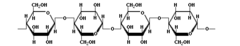 <p>polymer of β glucose monomers that is found in plant cell walls</p>