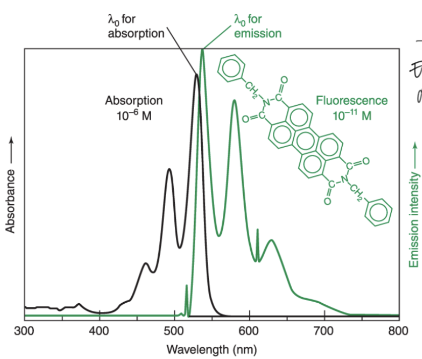 <p>Emission (energy released) always occurs at a LONGER wavelength than absorbance</p><p>Absorbance involves energy increase; shorter wavelength</p>