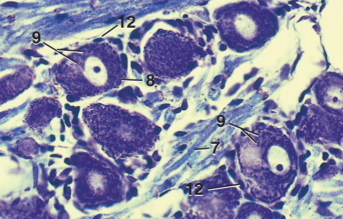 <p>Part and stain?</p>