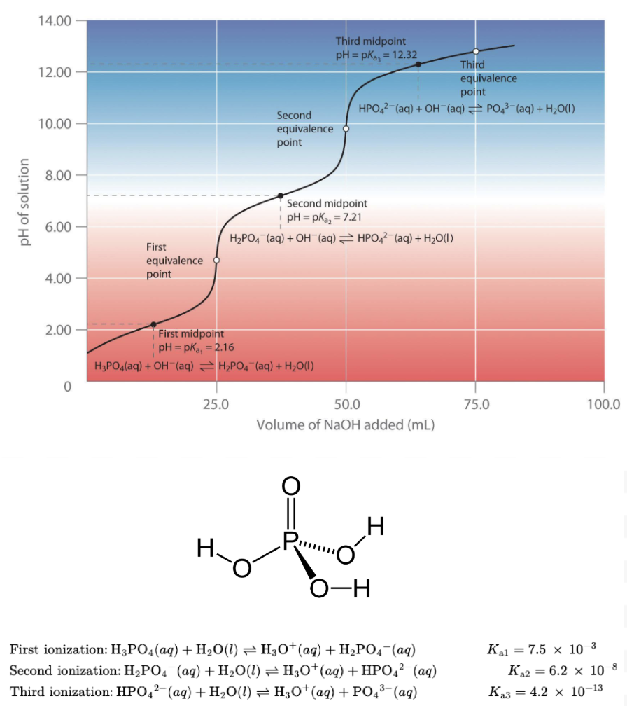 <ul><li><p>A <strong>polyprotic acid</strong> is an acid that can donate <strong>more than one H⁺</strong>.</p></li><li><p>Each proton has its <strong>own dissociation step</strong> and <strong>own Ka value</strong>.</p></li><li><p>Important concept:</p><ul><li><p>Each step becomes <strong>less acidic</strong>.</p></li><li><p>Ka1>Ka2>Ka3</p></li><li><p>Because removing a proton from a <strong>negatively charged molecule is harder</strong>.</p></li></ul></li><li><p>Has more than one curve on the overall titration curve. </p></li></ul><p></p>