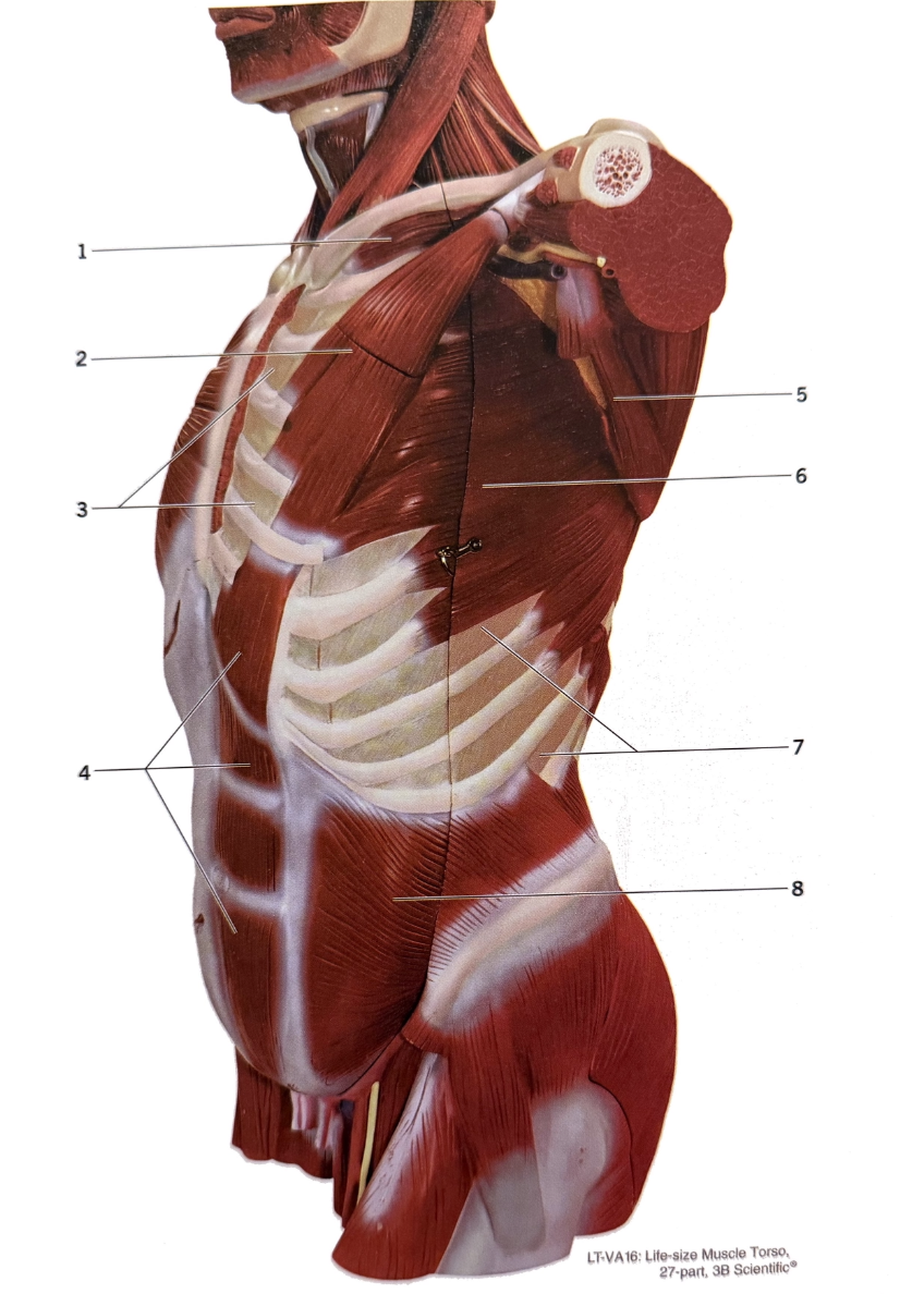 <p>3</p>