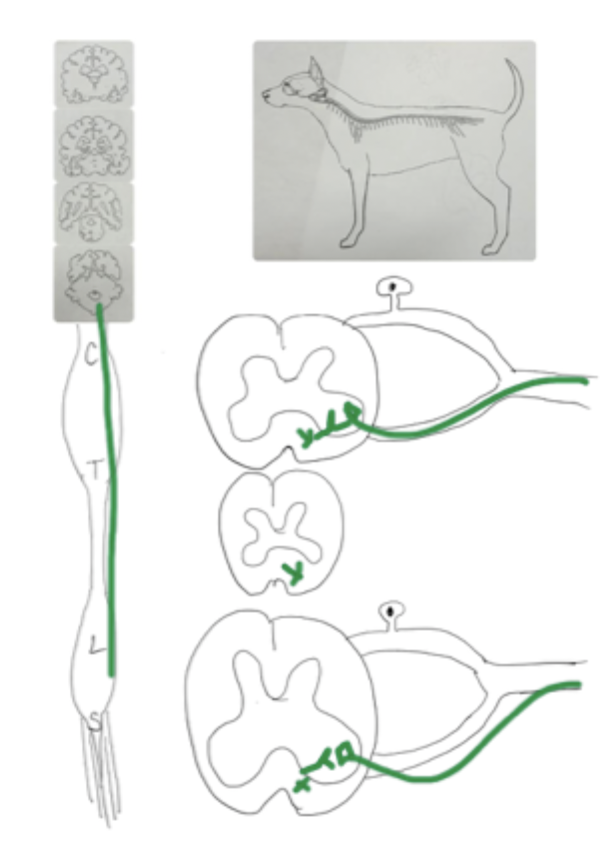 <p>What tract is this?</p>