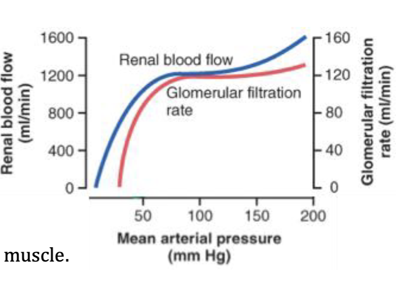 <p>Changes in Glomerulus Filtration Rate</p>