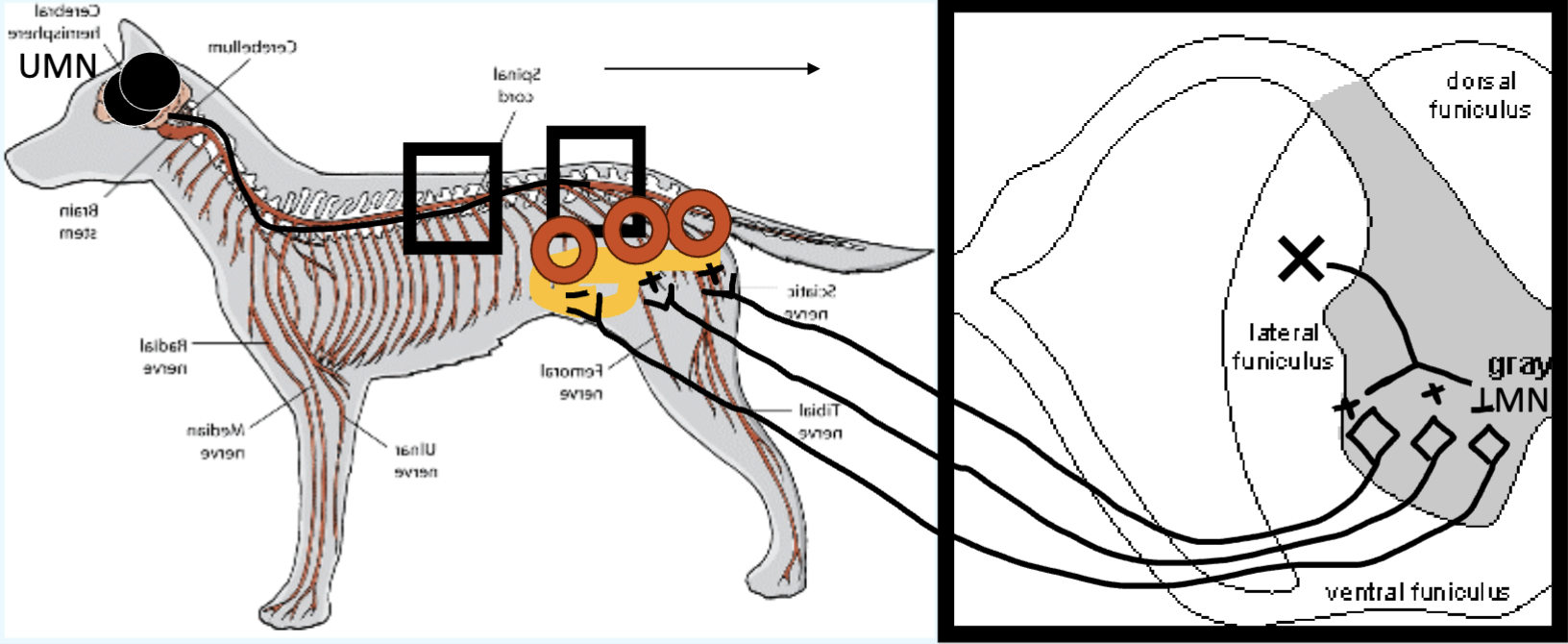 <p>What is this showing?</p>