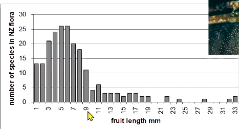<p>Seed mass and size is limited by the largest animal that can eat and disperse it</p>