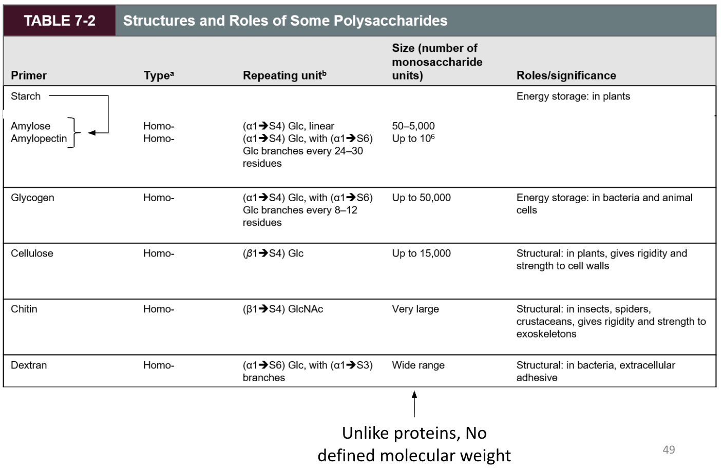 <p>Up to <strong>15,000</strong> monosaccharide units.</p>