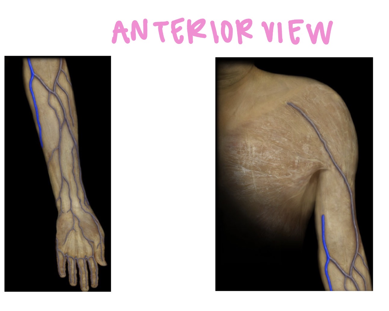 <p>what is this </p>