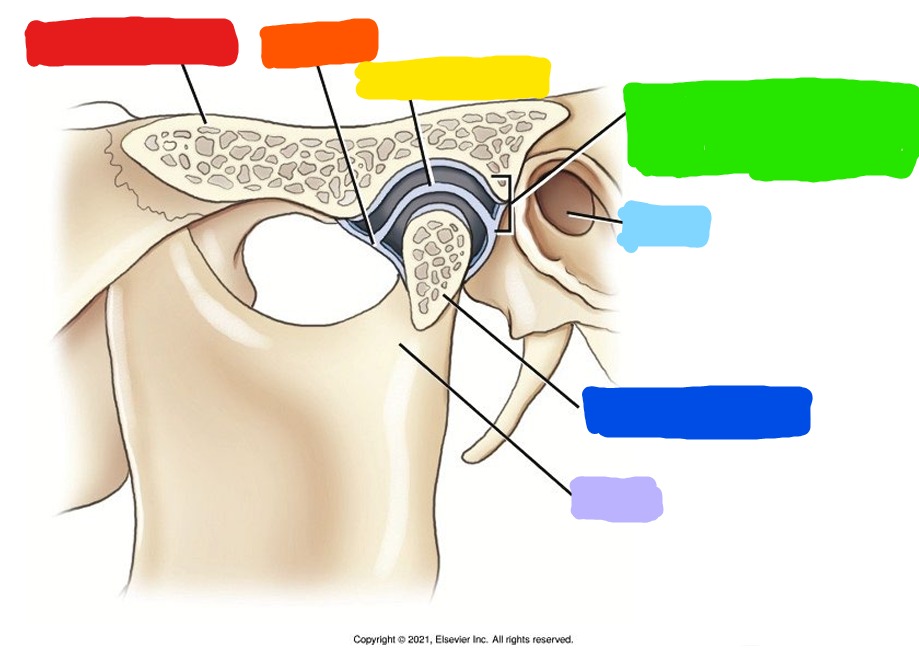 <p>What is Purple?</p>