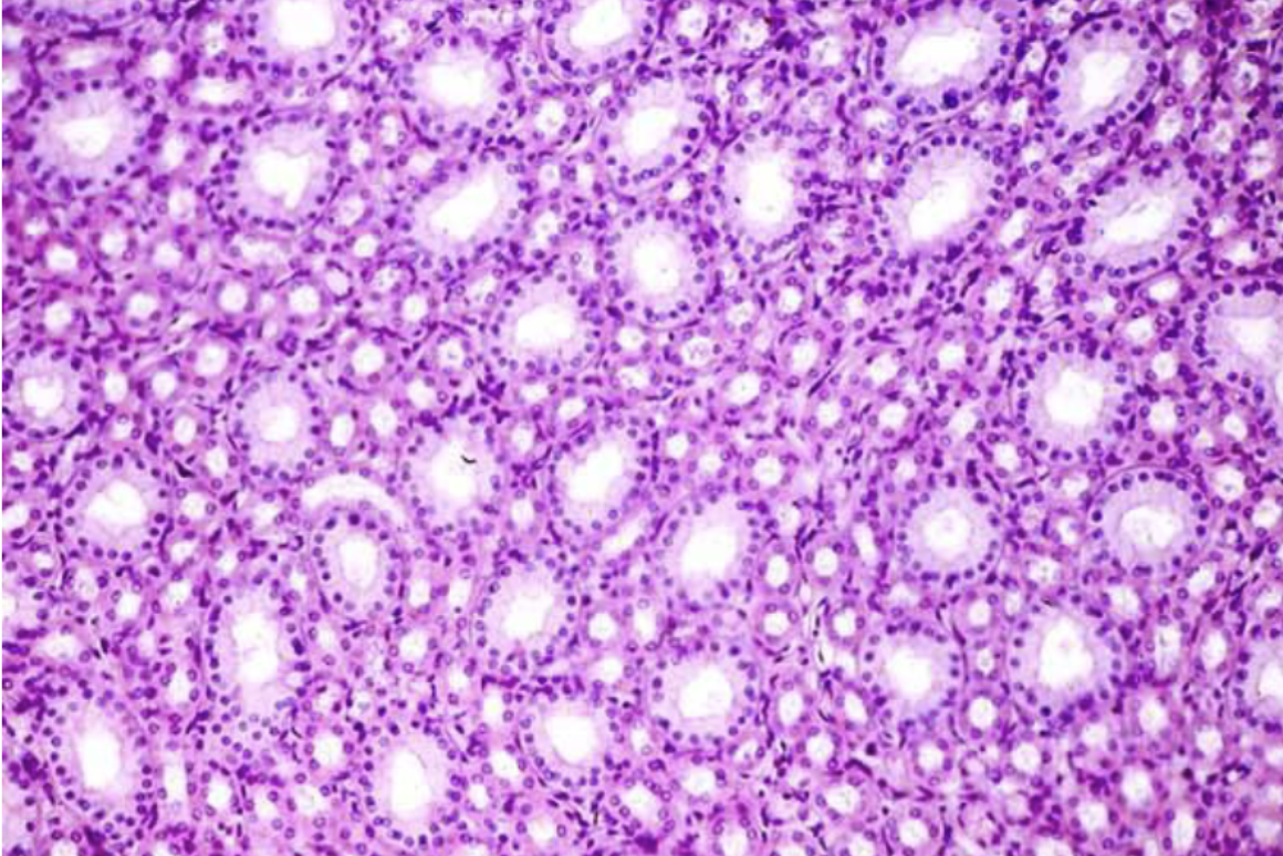 <p>What is this?</p>