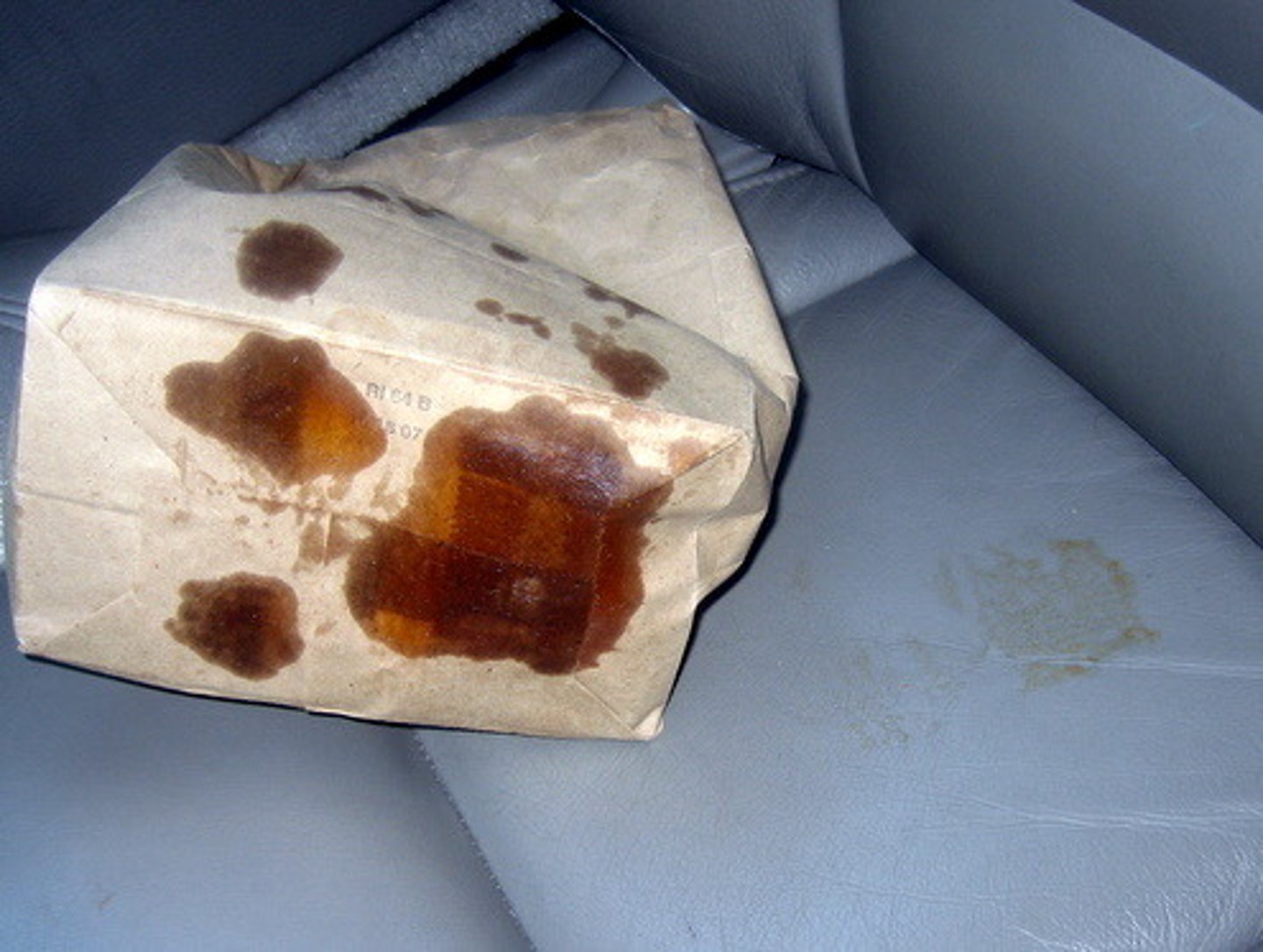 <p>to spread throughout</p>