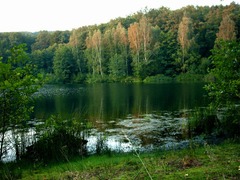 <p>(n) tài nguyên</p>