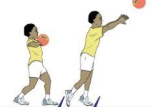 <p>what fundamental movement is this?</p>