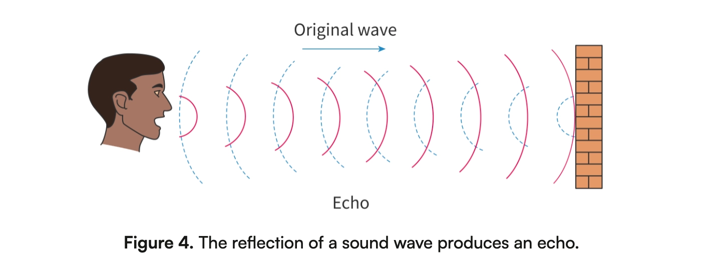<ul><li><p>Sound waves can reflect when they reach a boundary between materials</p></li><li><p>A reflected sound wave is called an echo</p></li></ul><p></p>