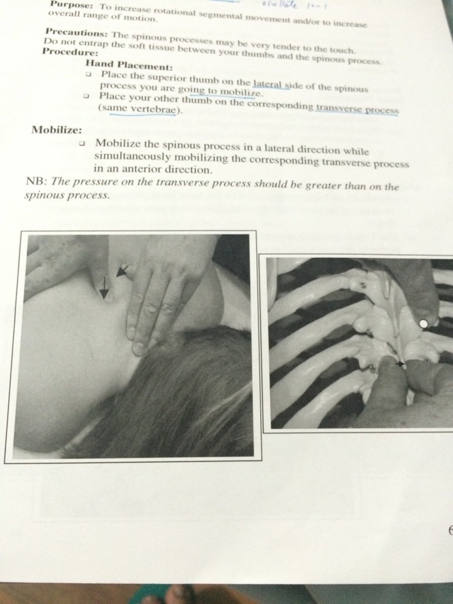 <p>Intervertebral joints mobility</p>