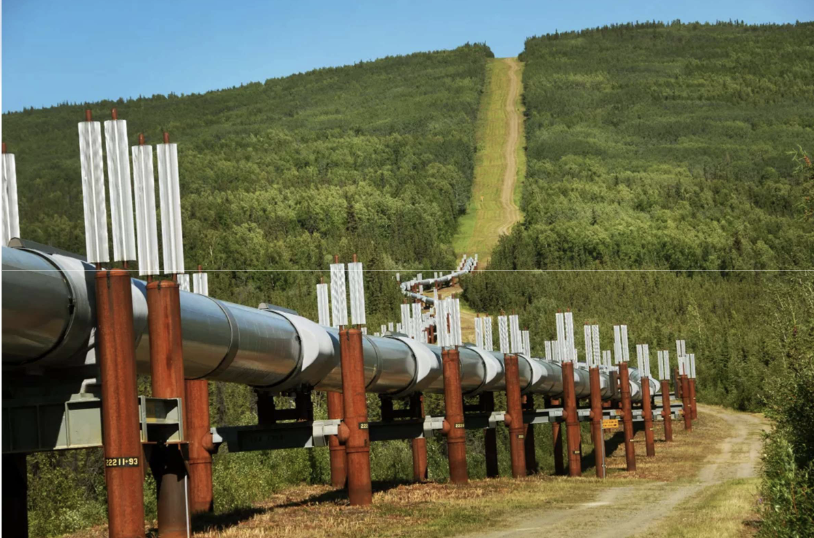 <p>Engineers elevated sections of the Alaskan Pipeline so the warm oil would not thaw the permafrost.</p>