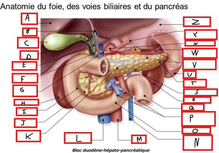 <p>Completer ce schéma</p>