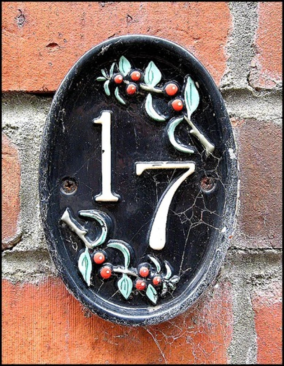 <p>17</p>