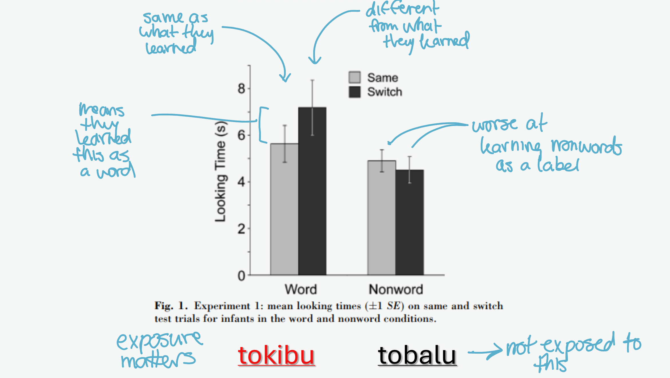 <p>17 month olds in statistical word segmentation task + object-label-learning task (habituation)</p><ul><li><p>labels were words, nonwords, or part-words from segmentation task</p></li></ul><p>method- listen to string of made up words, then shown pictures of objects and labeled with either a word or nonwords, then tested with either the correct image or a different image</p><p>results- </p><ul><li><p>more looking time at switched images for words</p></li><li><p>worse at learning non-words</p></li><li><p>no difference with part-words between correct and incorrect images</p></li></ul><p></p>