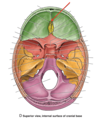 <p>What is the red arrow pointing to?</p>
