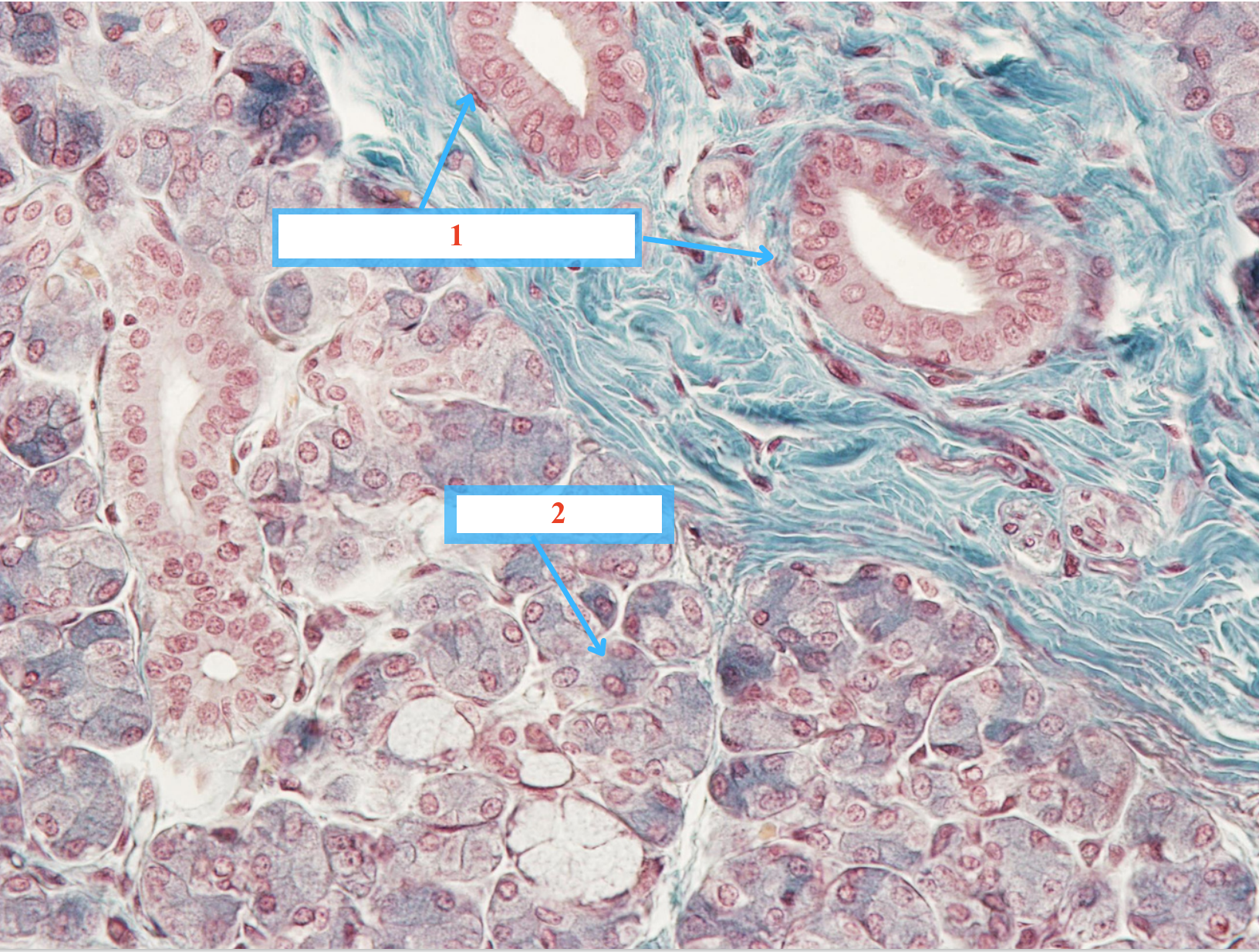 <p>Cấu trúc gì ?</p>