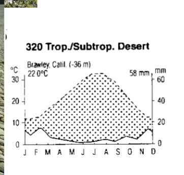 <p><span style="background-color: transparent;">graph for trop/subtrop desert</span></p>
