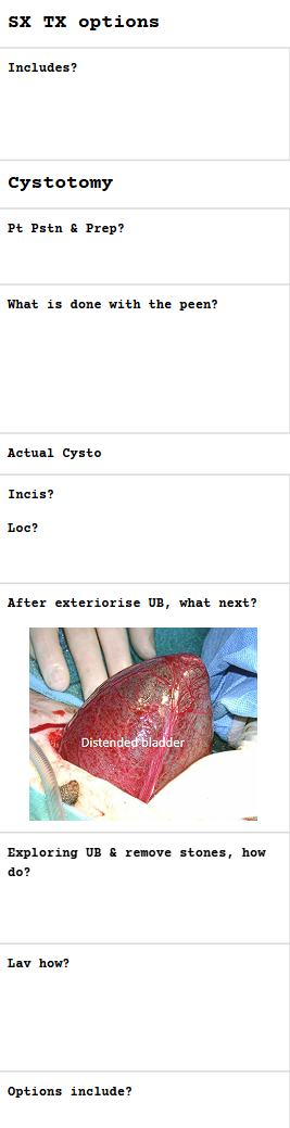 <p>Urolith Obst pt</p>