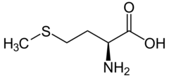 <p>Methionine</p><p>1 Letter: M</p><p>3 Letters: Met</p><p>Non-charged</p><p>Polar</p>