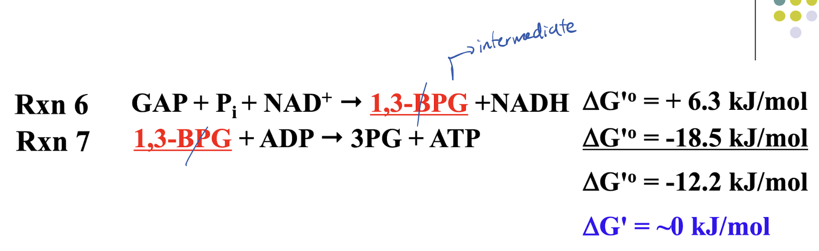 <p>Consumption of 1,3-BPG in reaction 7 pulls reaction 6 forward, as the steady use of the reaction 6 product motivates equilibrium to keep creating it. </p>