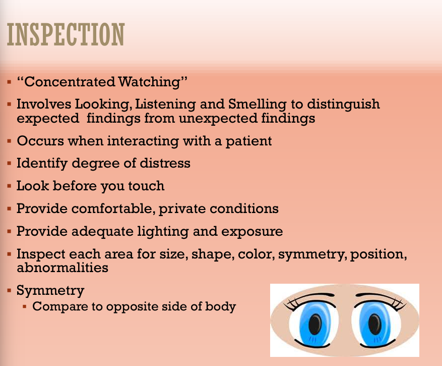 <p>“Concentrated Watching”</p><p>Involves Looking, Listening, Smelling to distinguish expected findings from unexpected findings</p><ul><li><p>Identify<strong> degree of distress</strong></p></li><li><p>Look before you touch</p></li><li><p>Provide comfortable, private conditions</p></li><li><p>Provide adequate lighting and exposure</p></li><li><p>Inspect each area of <strong>size</strong>, <strong>shape</strong>, <strong>color, symmetry</strong>, <strong>position</strong>, <strong>abnormalities</strong></p></li></ul><p><strong>Symmetry on opposite sides of body</strong></p>