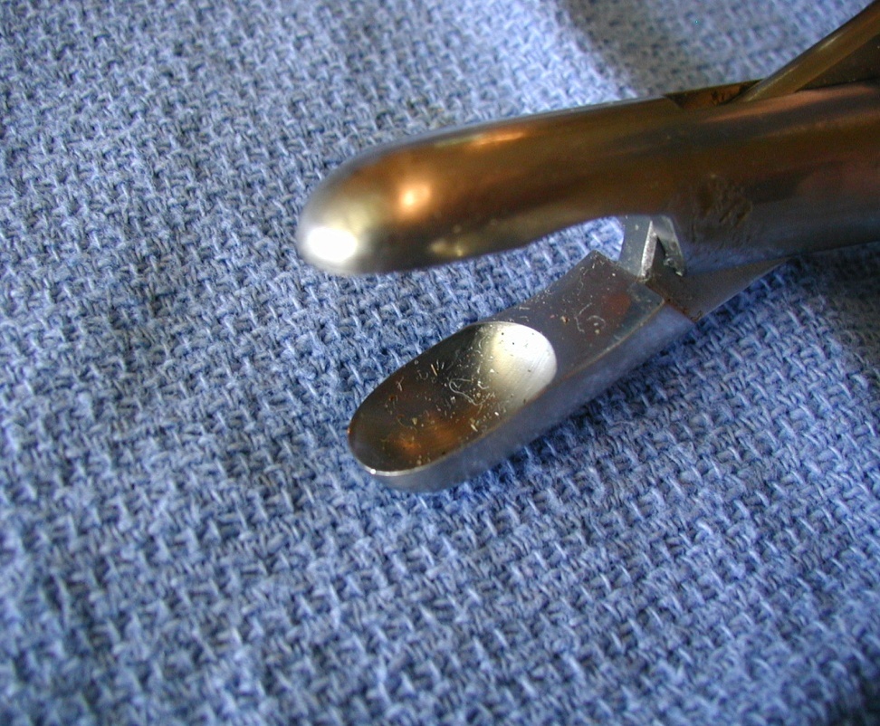 <p>Adson Rongeur</p>