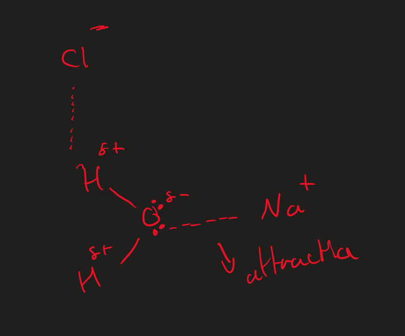 <p>Electronegative O in H₂O is attracted to metal cation </p><p>attraction → releases energy</p>
